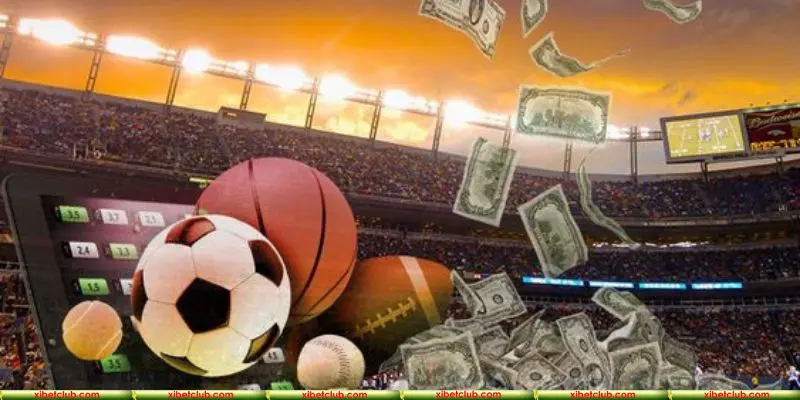 Gợi ý 4 kiểu cược vô cùng cuốn hút và kịch tính năm 2025