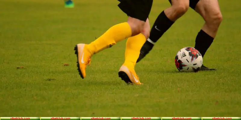 Lưu ngay các mẹo chinh phục kèo cược từ chuyên gia XIBET